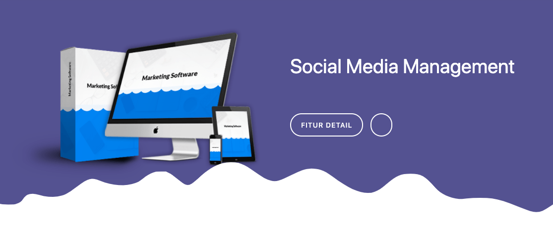 Apa Itu Social Media Management Bisnis Digital?