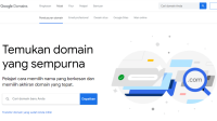Mari Mengenal Apa Itu Google Domains dan Perbedaannya dengan Domain Lain