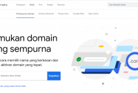 Mari Mengenal Apa Itu Google Domains dan Perbedaannya dengan Domain Lain
