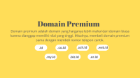 Domain Premium