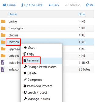 Cari folder themes di public_html