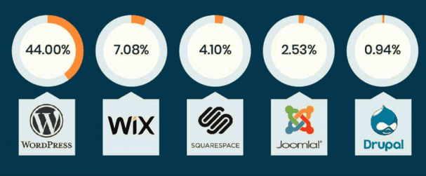Grafik Platform Pembuatan Situs Populer di 2022