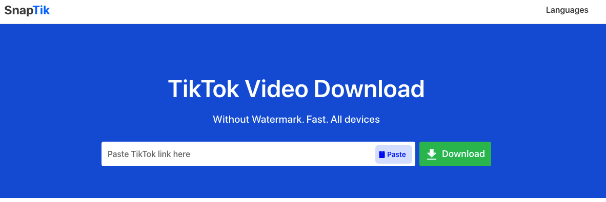 2. SnapTik: Effortless Watermark-Free Downloads
