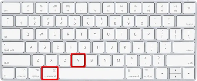 How to Copy and Paste Using Keyboard Shortcuts