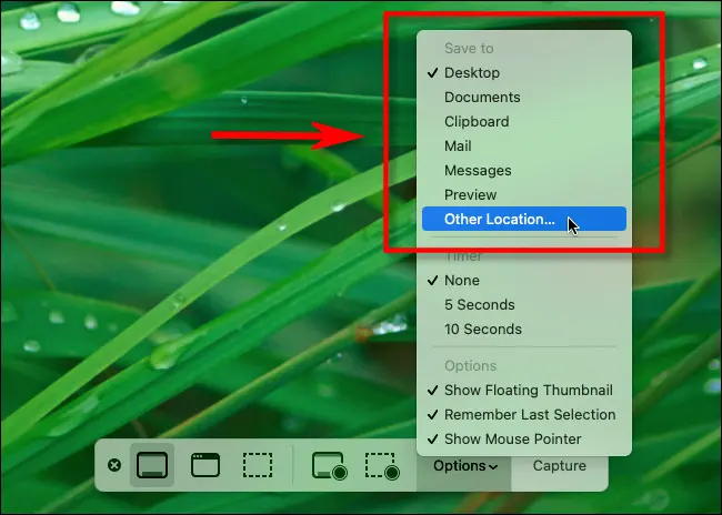 Where do Screenshots Go on Mac