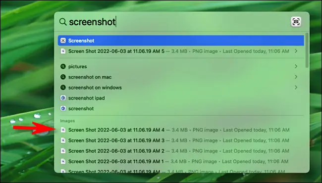Where do Screenshots Go on Mac