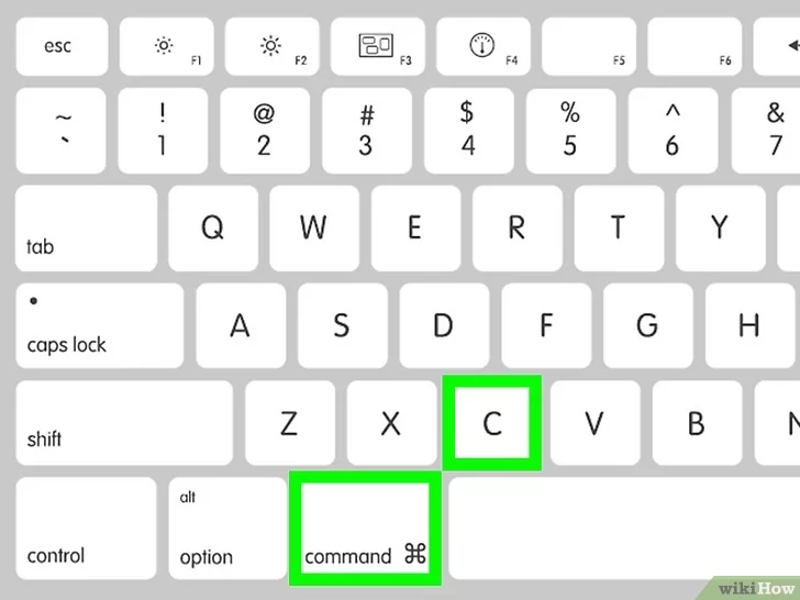 How do You Copy and Paste on a Mac