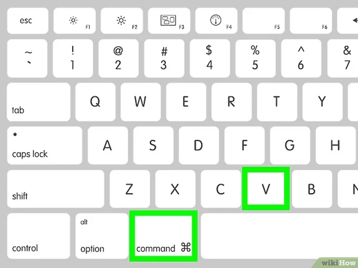 How do You Copy and Paste on a Mac