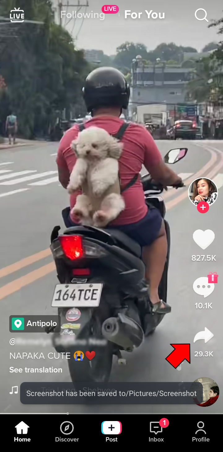 TikTok Download no Watermark