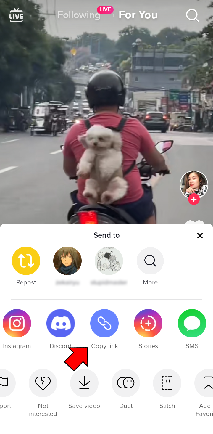 Download TikTok Videos Without Watermark