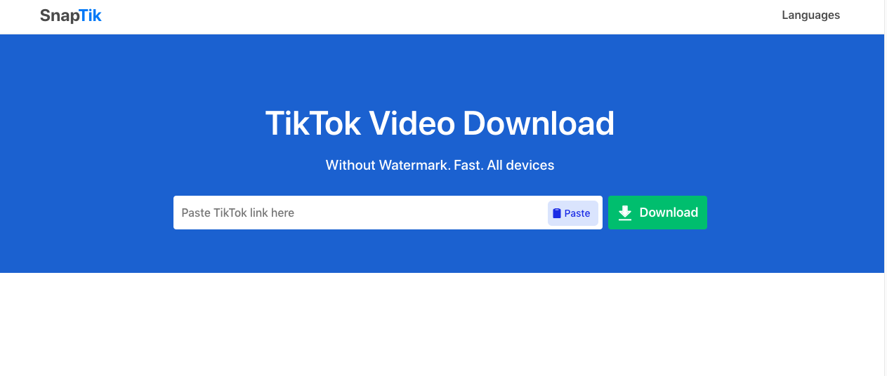 TikTok Video Downloader
