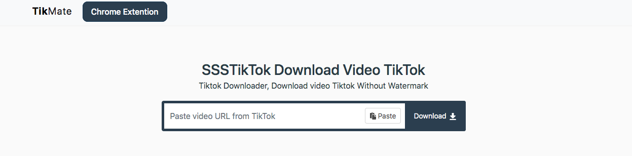 How to TikTok Downloader no Watermark