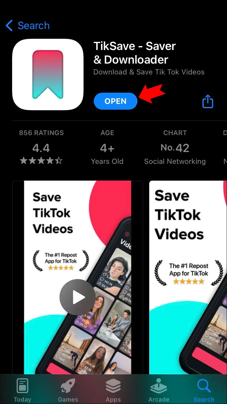 TikTok Download no Watermark
