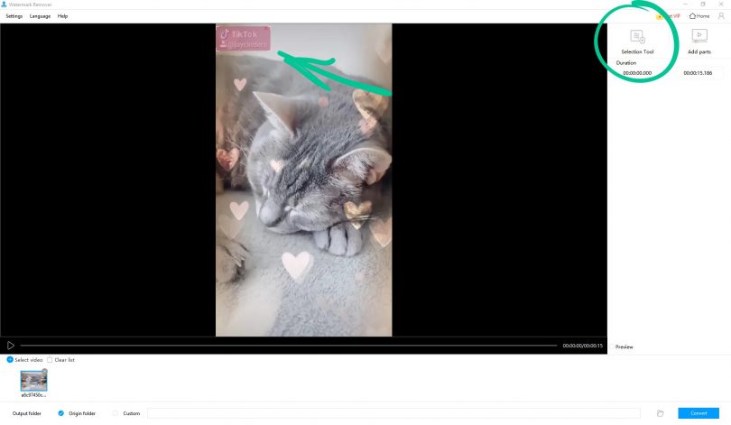 TikTok Watermark Remover