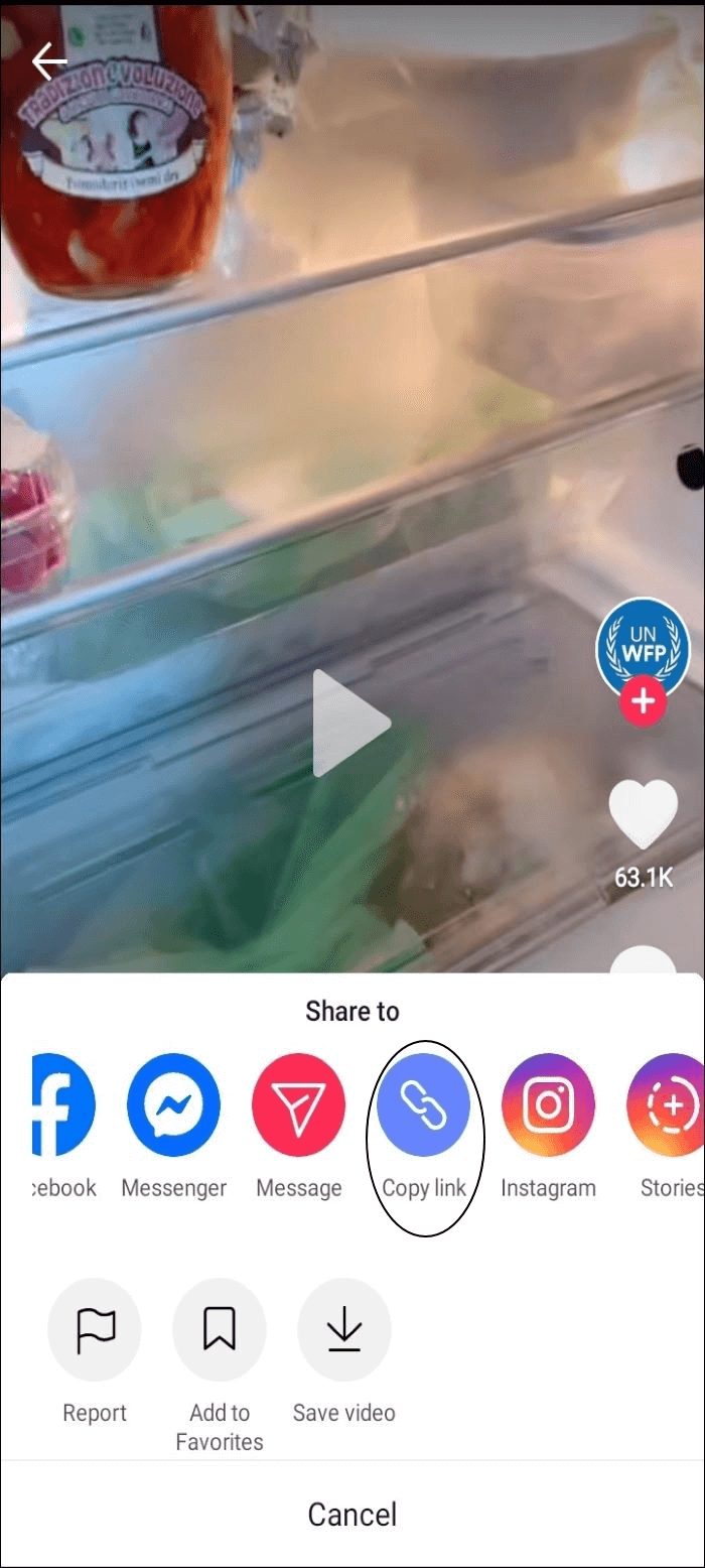 TikTok Video Downloader Without Watermark