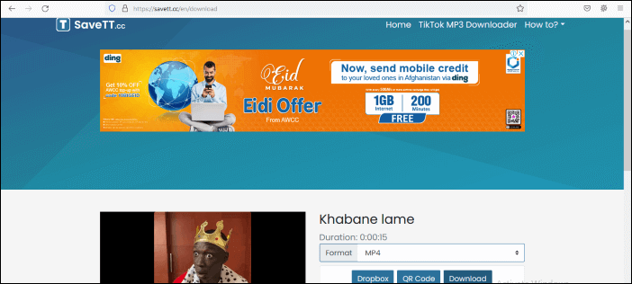 TikTok Video Downloader Without Watermark
