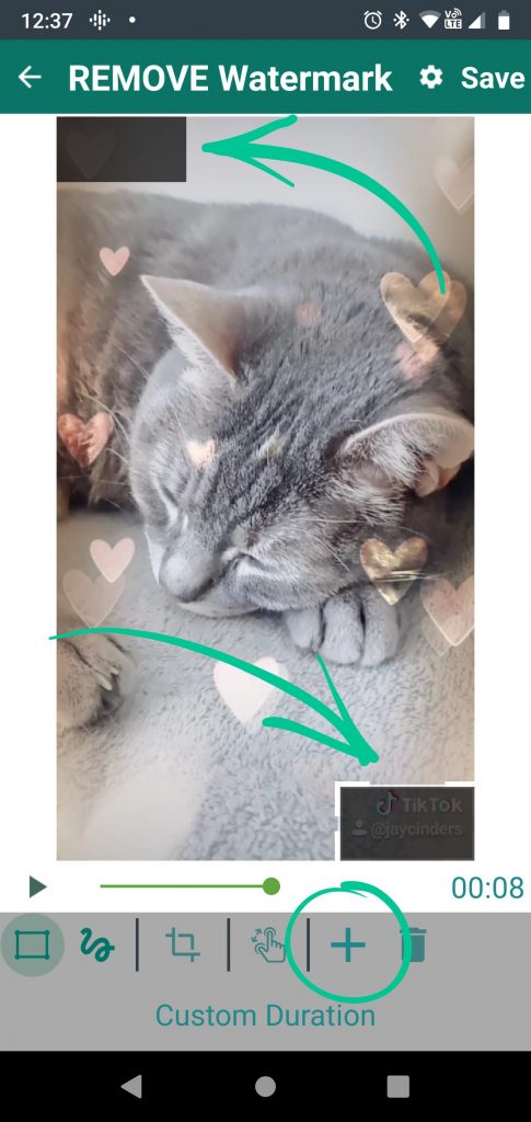 TikTok Watermark Remover