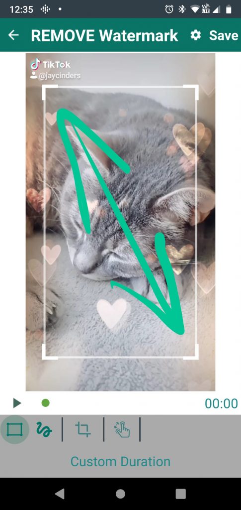 TikTok Watermark Remover