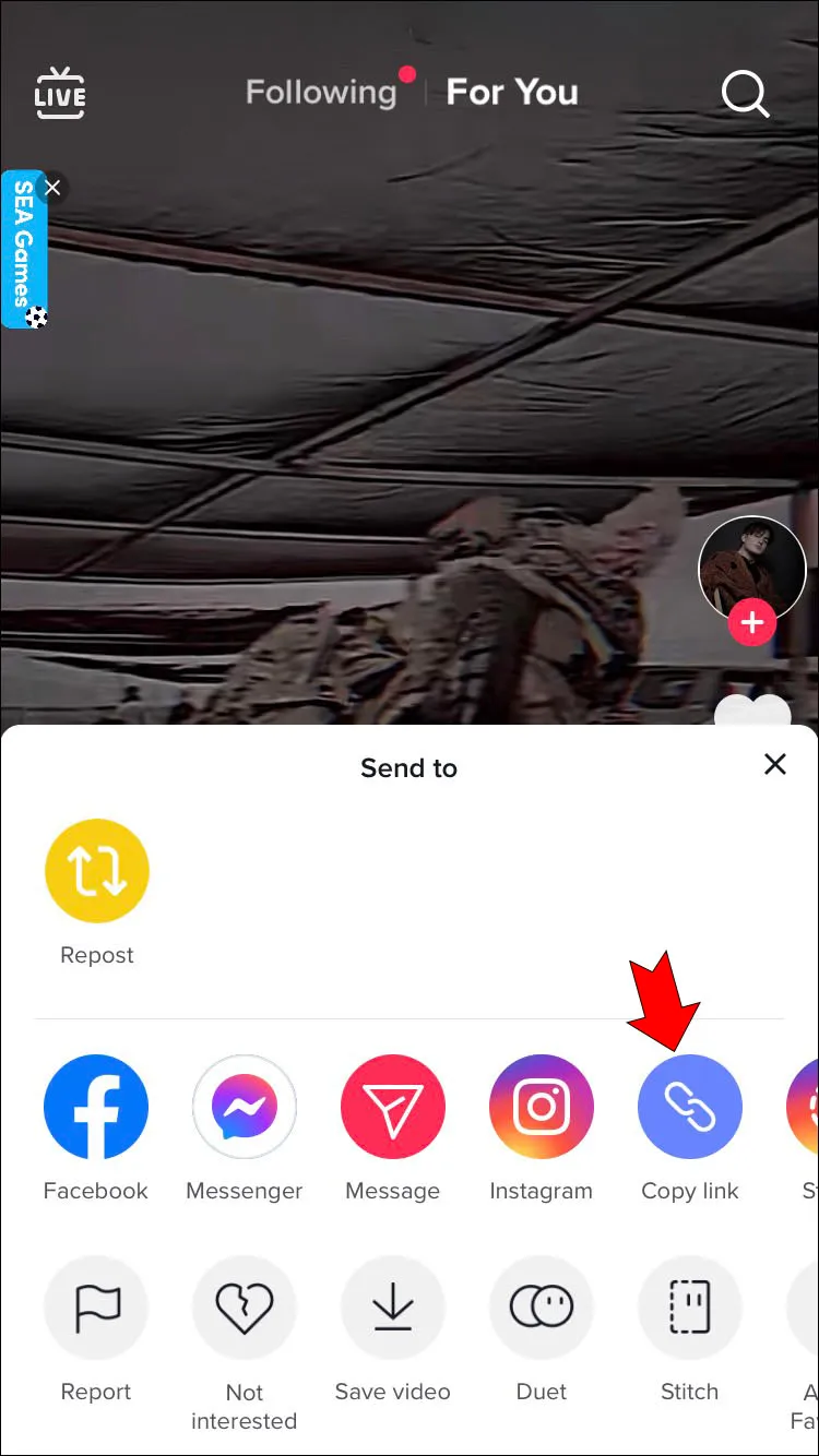 TikTok Download no Watermark